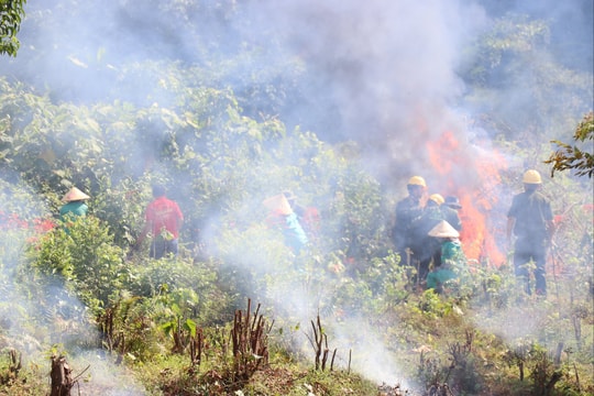 Cảnh báo nguy cơ cháy rừng