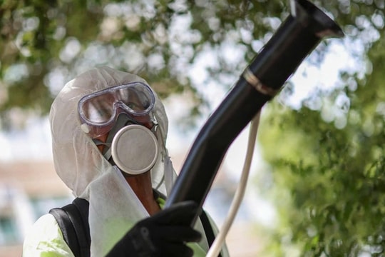 Chủ động phòng bệnh Chikungunya xâm nhập
