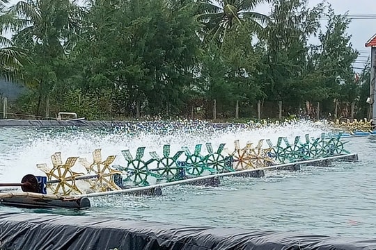 Bảo vệ môi trường trong nuôi trồng thủy sản