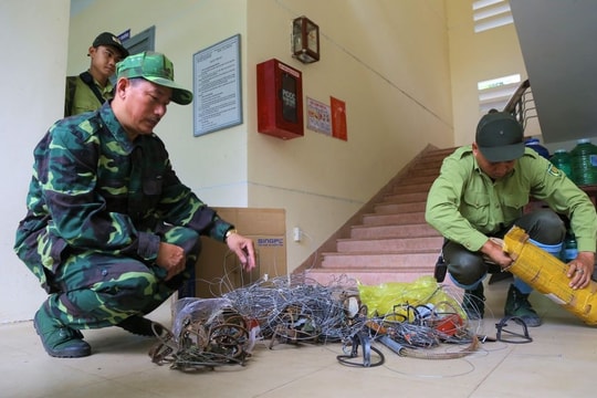 Tăng cường bảo vệ hệ sinh thái trên bán đảo Sơn Trà