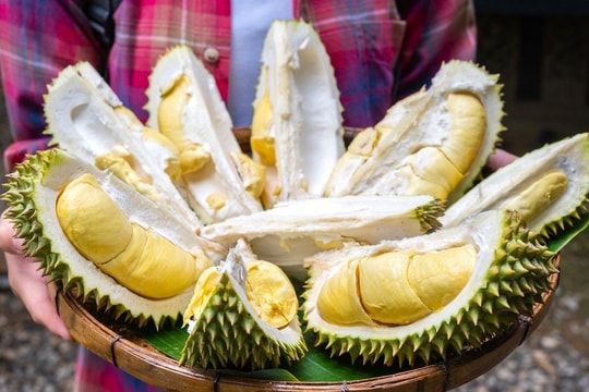 Giá sầu riêng hôm nay 15/8: Musang King rớt mạnh, Thái VIP vẫn giữ đỉnh