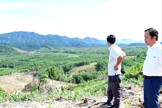 Mở hướng chăn nuôi heo an toàn sinh học