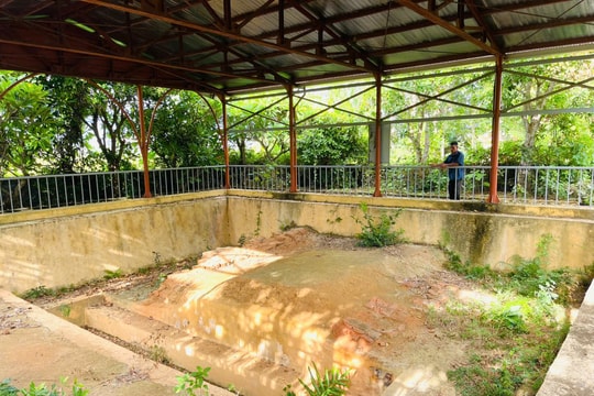 Câu chuyện Trà Kiệu