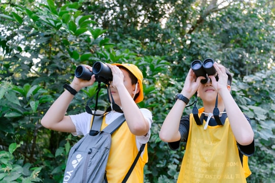 Bảo vệ rừng bền vững