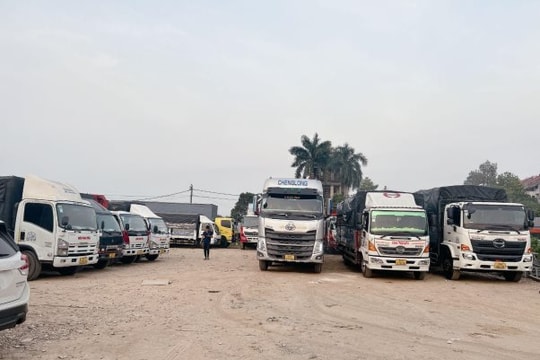 Vận tải Hữu Nguyên - Đồng hành cùng doanh nghiệp với dịch vụ vận chuyển uy tín