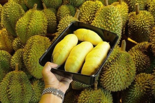 Giá sầu riêng hôm nay 21/8: Sầu riêng Thái tăng sốc