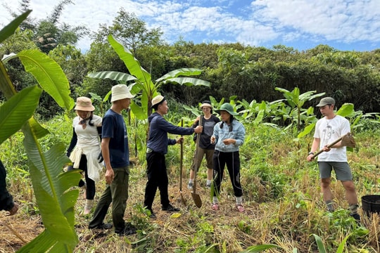 “A Little Vietnam” project: Sowing green seeds of hope in remote Aur Village