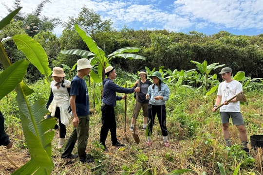 Vun mầm xanh cho tương lai ở làng Aur