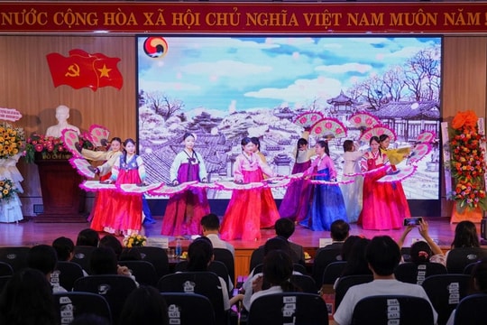 Da Nang universities expands international education partnerships