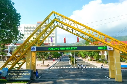 Điểm chuẩn Trường Đại học Hạ Long 2025