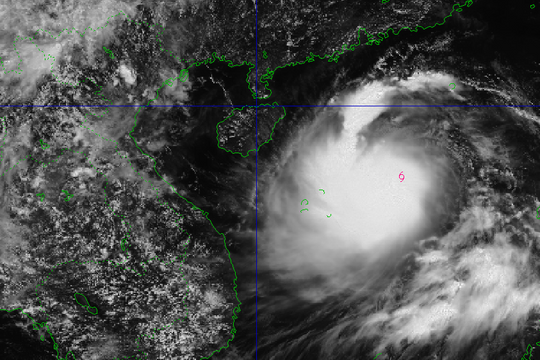 Da Nang forecast to face downpour as storm Kajiki set to impact central Vietnam