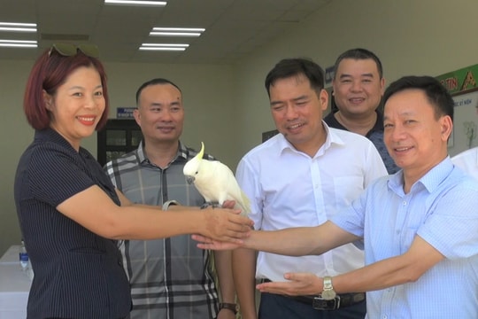 VinWonders Nam Hoi An, Da Nang receives 593 rescued wild animals for Conservation