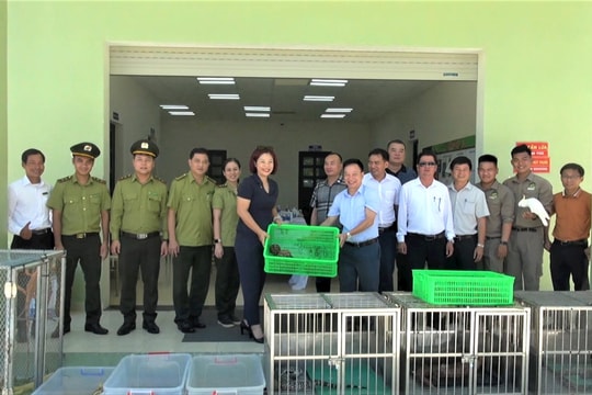 Bàn giao 593 động vật hoang dã còn sống cho Vinwonders Nam Hội An