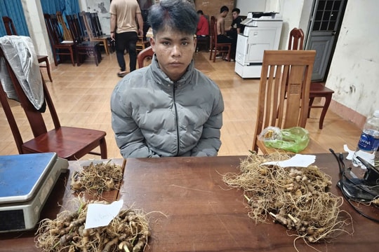 Tăng cường đảm bảo an ninh tại vùng sâm