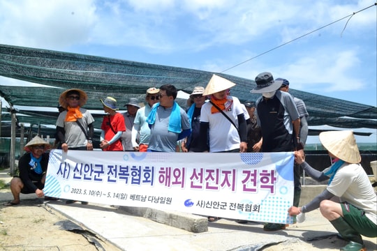 Khai mở nông nghiệp ứng dụng công nghệ cao