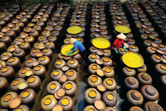 Nghề truyền thống làm tương bần Hưng Yên