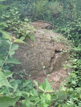 Một di tích quý hiếm bị lãng quên