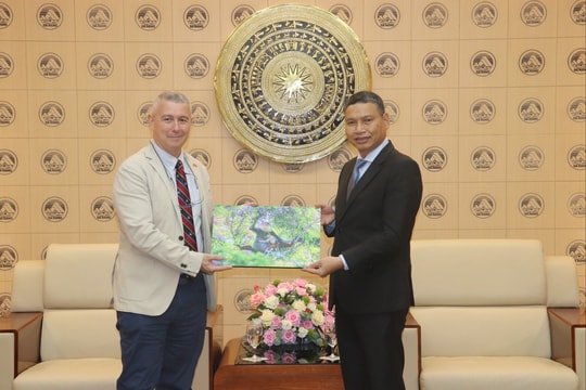 Đại sứ Vương quốc Bỉ tìm hiểu cơ hội hợp tác phát triển Khu thương mại tự do Đà Nẵng