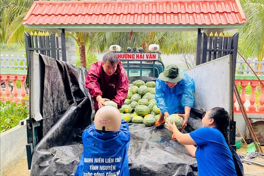 Phường Hải Vân hỗ trợ người dân tiêu thụ 35 tấn dưa hấu trước bão số 5