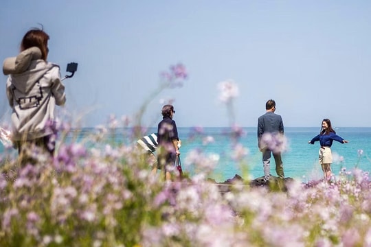 Đảo Jeju ngăn chặn hành vi không đúng mực của du khách nước ngoài