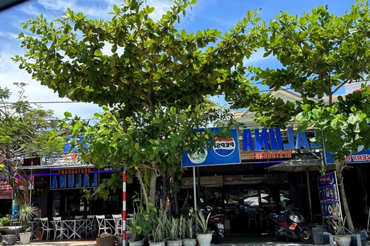 Yêu cầu chủ nhà hàng Laluna tự tháo dỡ công trình xây dựng trái phép