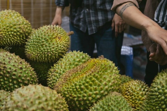 Giá sầu riêng hôm nay 26/8: Ri6 bật tăng, Thái nhích nhẹ