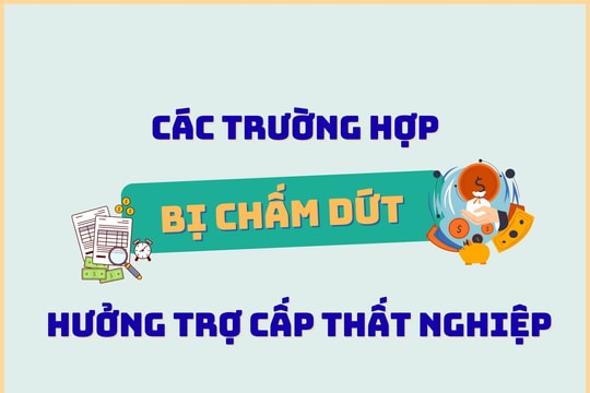 Các trường hợp bị chấm dứt hưởng trợ cấp thất nghiệp