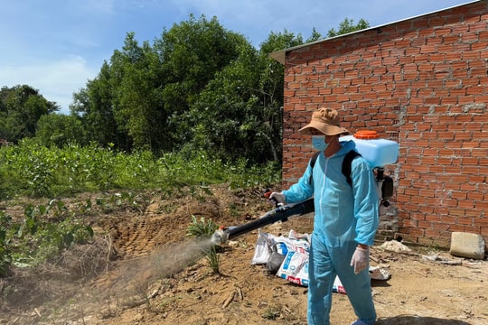 Không chủ quan với dịch tả lợn châu Phi