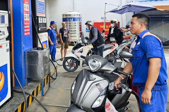Giá xăng dầu hôm nay 28/8: Dầu thế giới tăng nhẹ, trong nước ổn định