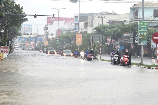 Chống ngập úng, nhìn từ Hà Lan