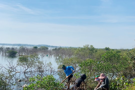 Bảo tồn hệ sinh thái và đa dạng sinh học ở phía nam Đà Nẵng