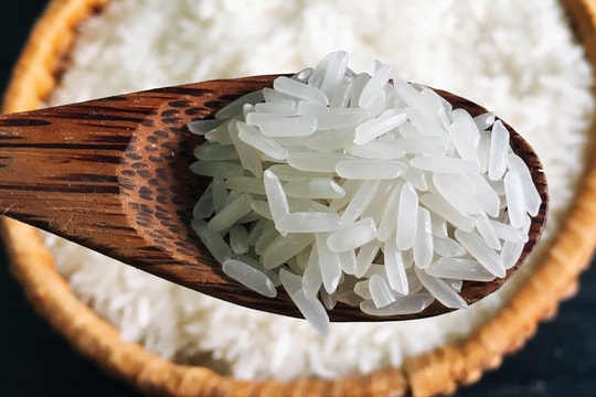 Giá lúa gạo hôm nay 31/8: Giá chững, giao dịch trầm lắng