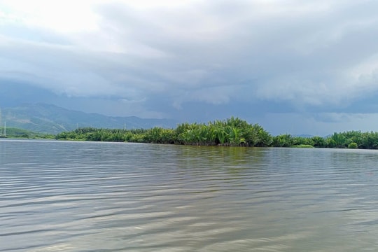 Efforts to conserve ecosystems and biodiversity in southern Da Nang