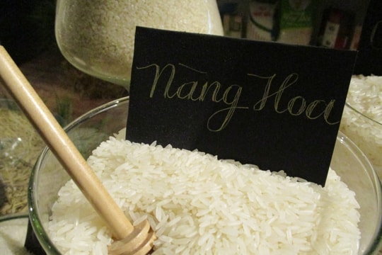 Giá lúa gạo hôm nay 1/9: Thị trường trầm lắng, giá đi ngang