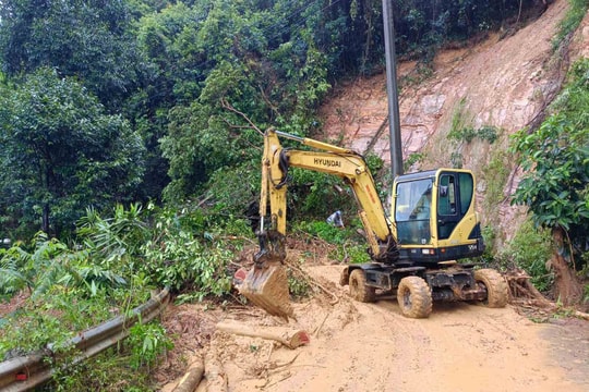 Sớm triển khai dự án kiên cố hóa đường Hoàng Sa - Khu vực bán đảo Sơn Trà