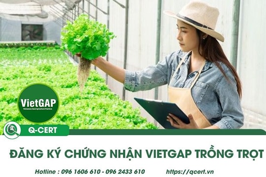 Chứng nhận VietGAP trồng trọt: Tầm quan trọng và quy trình chứng nhận