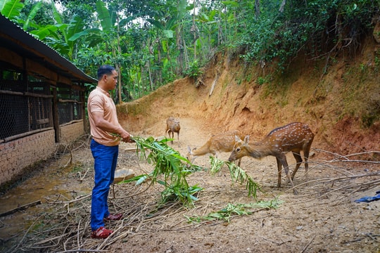 Xã Đông Giang nỗ lực giảm nghèo từ kinh tế vườn - rừng