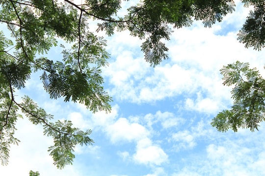 Những khoảng trời còn lại