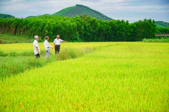 Đồng Nở vươn mình