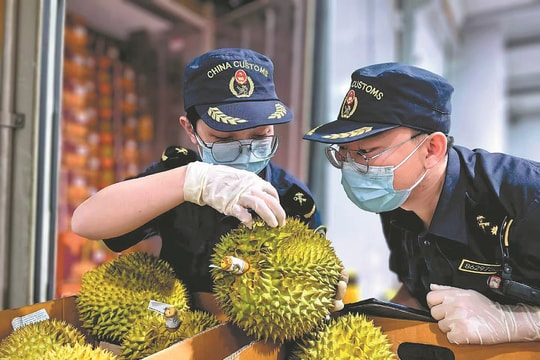 Thương mại ASEAN - Trung Quốc tiếp tục tăng