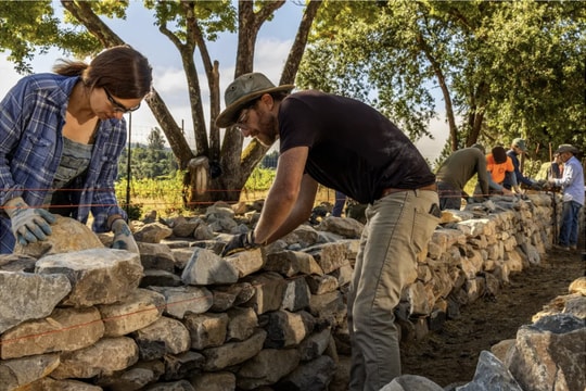 Tường đá cổ xưa có thể "cứu" khí hậu