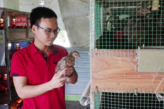 Khởi nghiệp nông thôn thời trí tuệ nhân tạo