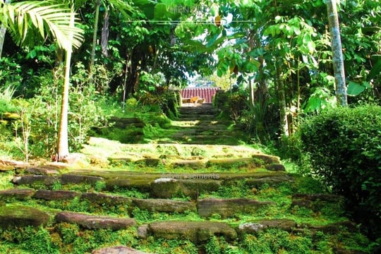 Chuyện của đá