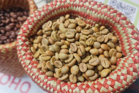 Giá cà phê hôm nay 7/9/2025: Chìm trong sắc đỏ, đồng loạt lao dốc