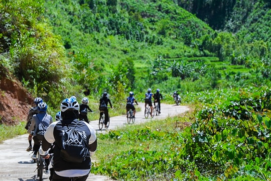 Xu hướng điểm đến thay thế