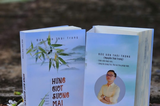 Vườn tĩnh của Đức Sơn Thái Trọng