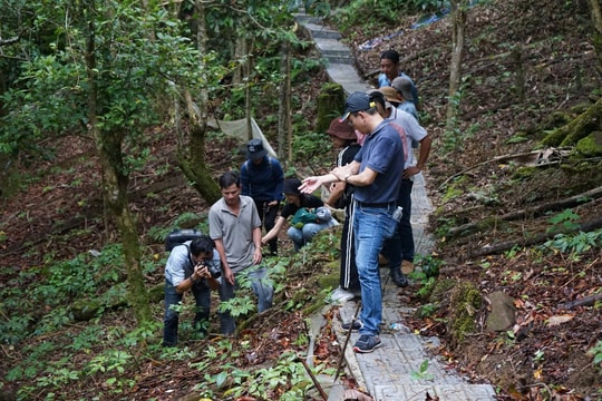 Khai thác tiềm năng y dược cổ truyền