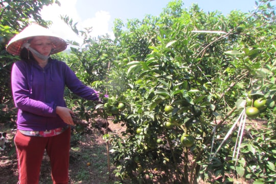 Tam Mỹ tìm hướng phát triển du lịch cộng đồng