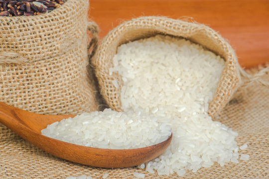 Giá lúa gạo hôm nay 8/9: Giá ít biến động