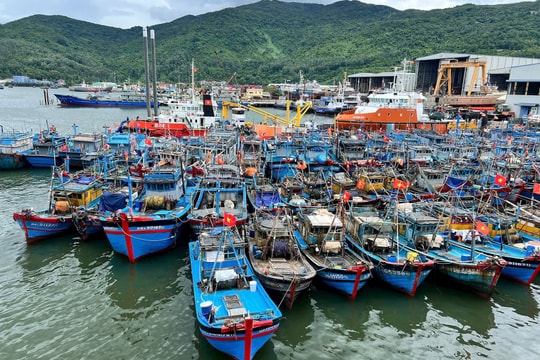 Gần 100% tàu cá tại Đà Nẵng lắp đặt thiết bị giám sát hành trình